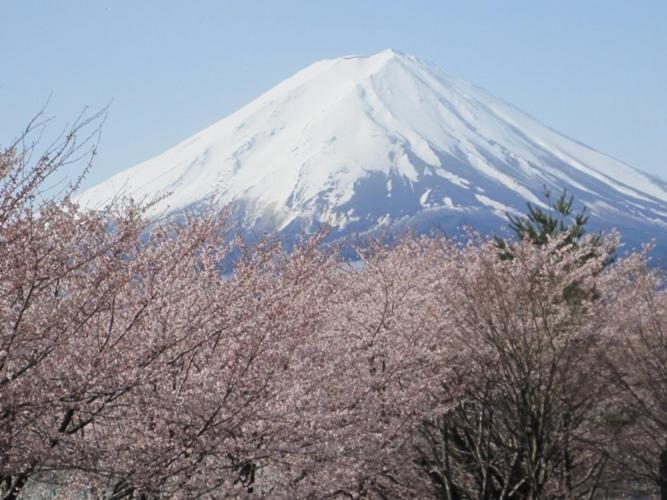 Shuhokaku Kogetsu Fujikawaguchiko Exterior foto